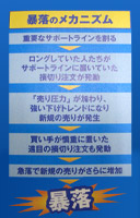 Yen SPA! '09冬 暴落のメカニズム