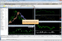 ムービーでも 検証ソフト Forex Tester2 の解説を行っています